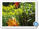 032_Geb.05_Blüten_Rio-Möbel - 28