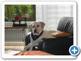 013_div_Bilder_2_05 - 13