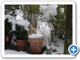 013_div_Bilder_2_05 - 17