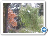 013_div_Bilder_2_05 - 18