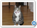 013_div_Bilder_2_05 - 19