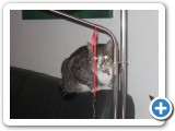 013_div_Bilder_2_05 - 2