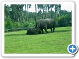 030_Serengeti_Park - 19