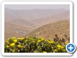 065_Fuerte_2006 - 63