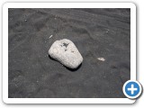 065_Fuerte_2006 - 88