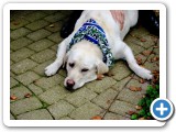 016_Silberhochzeit_Feier - 66