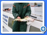 010_Angeltour_Fehmarn - 10