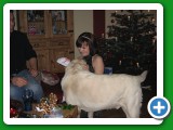 011_Weihnachten_2008 - 37