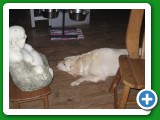 011_Weihnachten_2008 - 62