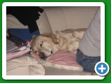011_Weihnachten_2008 - 63