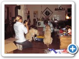 013_Weihnachten 2009 - 15