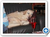 013_Weihnachten 2009 - 47
