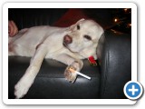 013_Weihnachten 2009 - 49