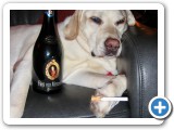 013_Weihnachten 2009 - 50