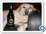 013_Weihnachten 2009 - 51