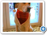 013_Weihnachten 2009 - 68
