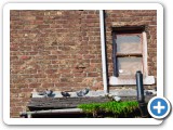 013_Liverpool 9.-12.10.2010 - 172
