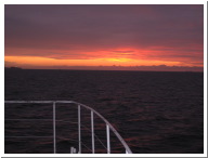 Angeltour Fehmarn - 06.jpg