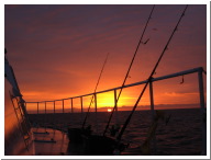 Angeltour Fehmarn - 07.jpg