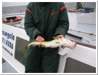 Angeltour Fehmarn - 10.jpg