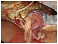 Angeltour Fehmarn - 16.jpg