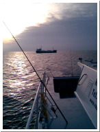 Angeltour Fehmarn - 28.jpg