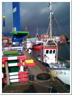 Angeltour Fehmarn - 29.jpg