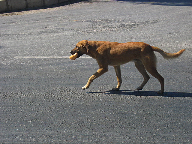 16 kemer 1 - 075.jpg