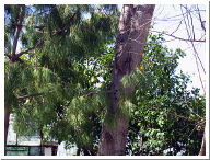 16 Kemer 1 - 033.jpg
