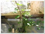 16 Kemer 1 - 046.jpg